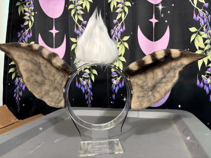 Create Your Own Ears! **PLEASE SUBMIT FORM ON “contact us”!